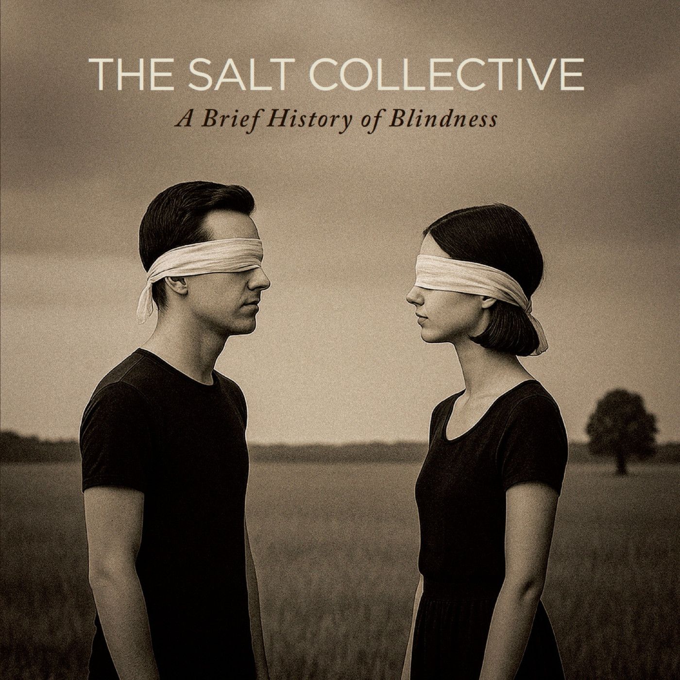 The Salt Collective - A Brief History of Blindness |  ()