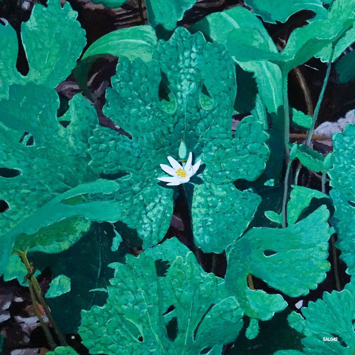 Early Fern - Wetland Interiors |  () - main