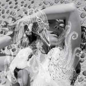 Björk - Vespertine | One Little Independent Records (TPLP101)