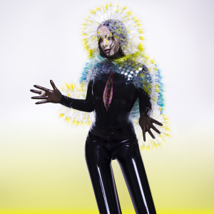 Björk - Vulnicura | One Little Independent Records (tplp1231x)