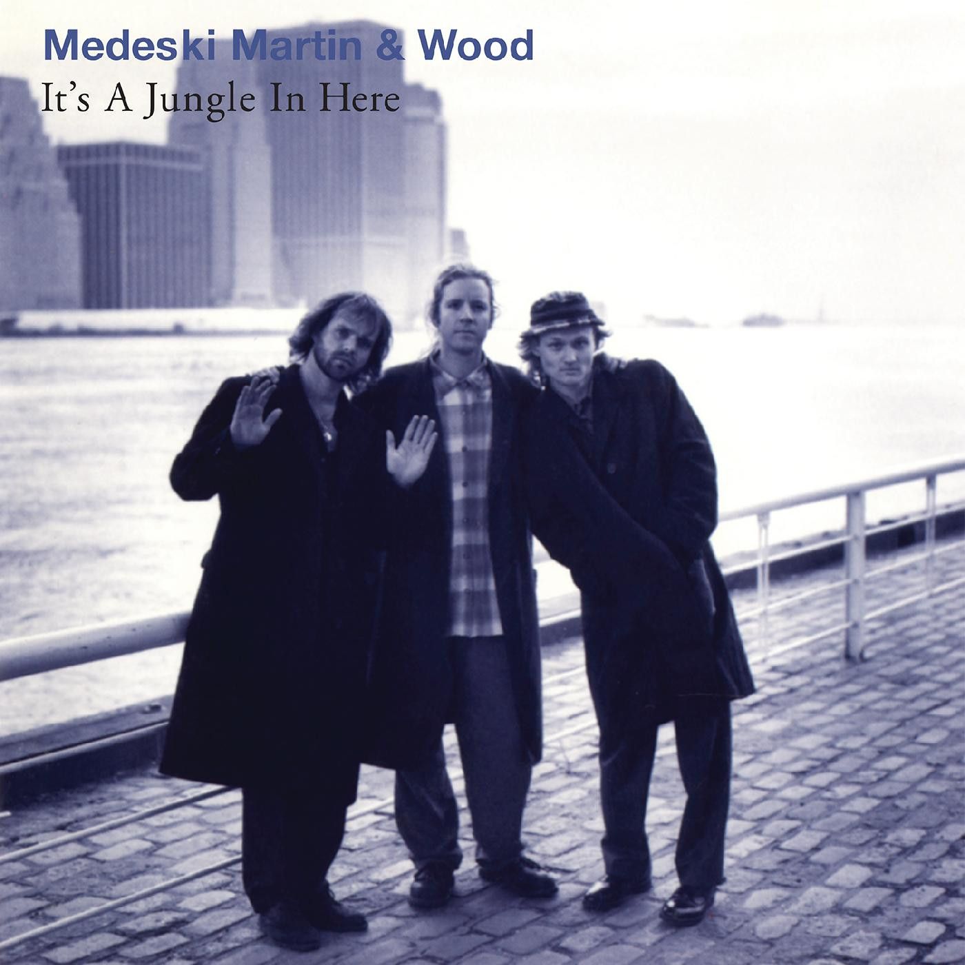 Medeski Martin & Wood - It's A Jungle In Here | Real Gone Music (RGM-1647)