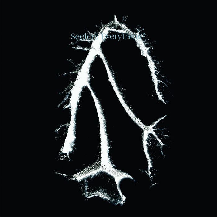 Seefeel - Everything Squared | Warp Records (WARPLP385) - main Seefeel - Everything Squared | Warp Records (WARPLP385) - main