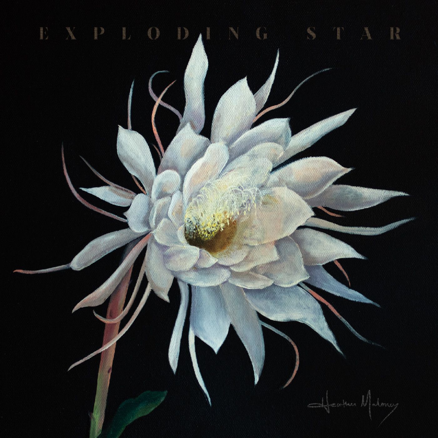Heather Maloney - Exploding Star | Signature Sounds (SIG-LP-7059) - main Heather Maloney - Exploding Star | Signature Sounds (SIG-LP-7059) - main