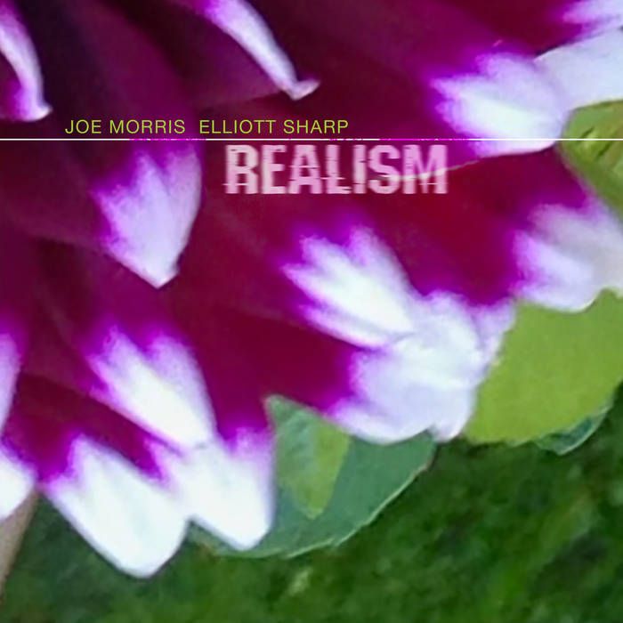 Joe Morris , Elliott Sharp - Realism | ESP-Disk' (ESP5084)