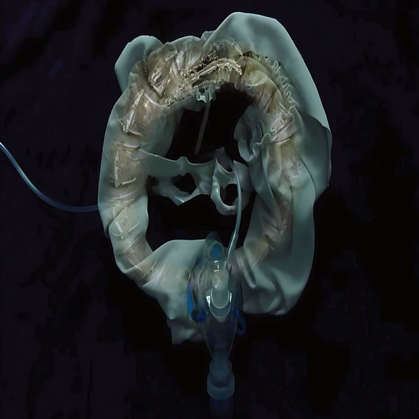 Ship Sket - InitiatriX | Planet Mu (ZIQ480) - main Ship Sket - InitiatriX | Planet Mu (ZIQ480) - main