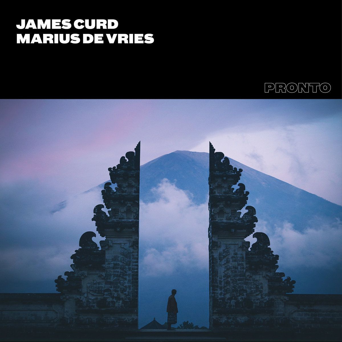 James Curd , Marius de Vries - Auditory Gates | Pronto (PRONTO001)