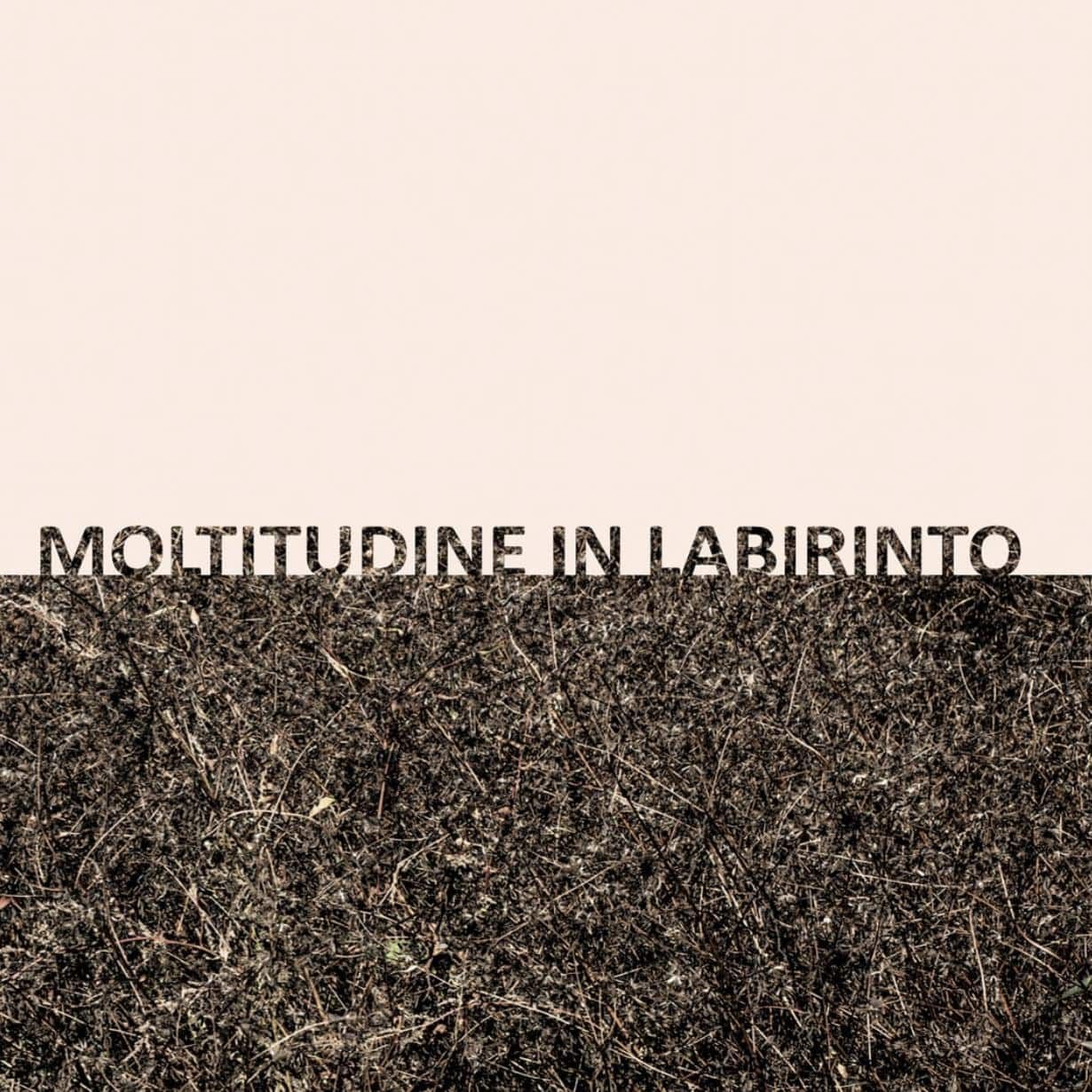 Gigi Masin & Giuseppe Caprioli - Moltitudine In Labirinto | 13 (sps2482) - main