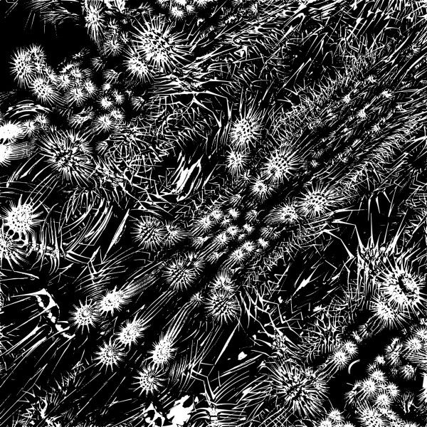 Mosam Howieson - Untitled | Silent Season (SSX03) - 2