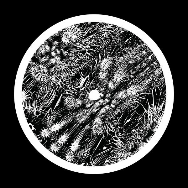 Mosam Howieson - Untitled | Silent Season (SSX03)