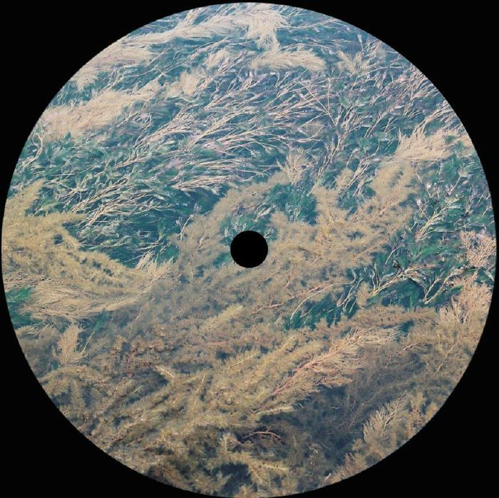 James i.V - Tadao | Local Traffic (LT 002) - 2