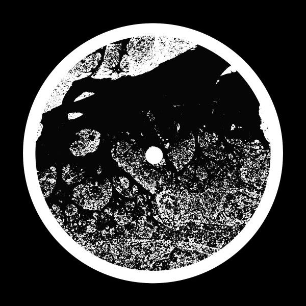 ASC - Eccentric Orbits | Silent Season (SSX10)