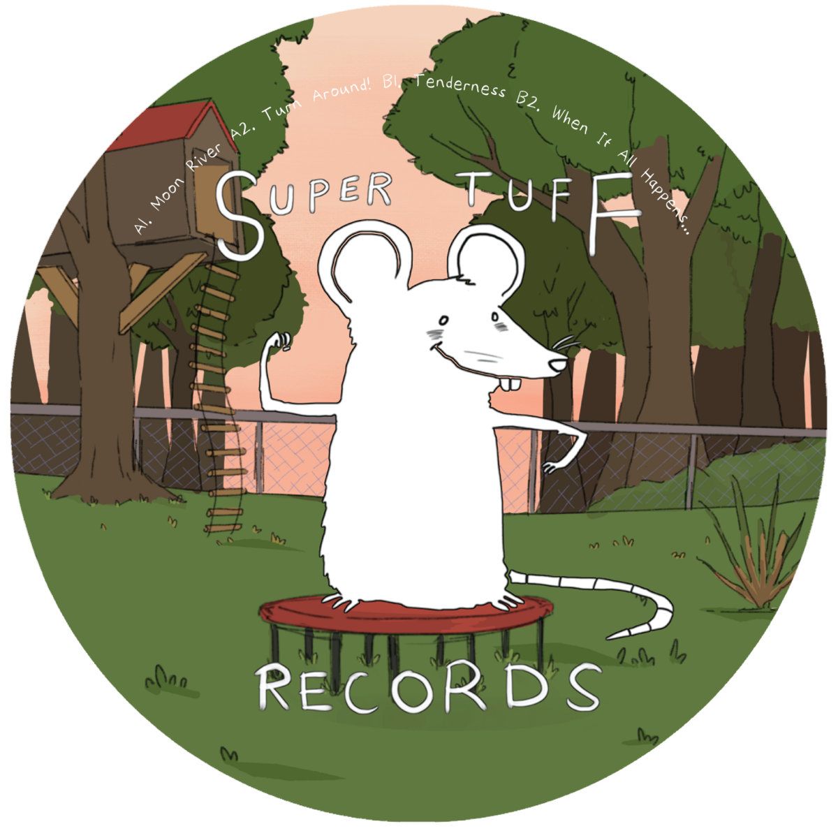 M. Vaughan - Tenderness | Super Tuff Records (ST005)