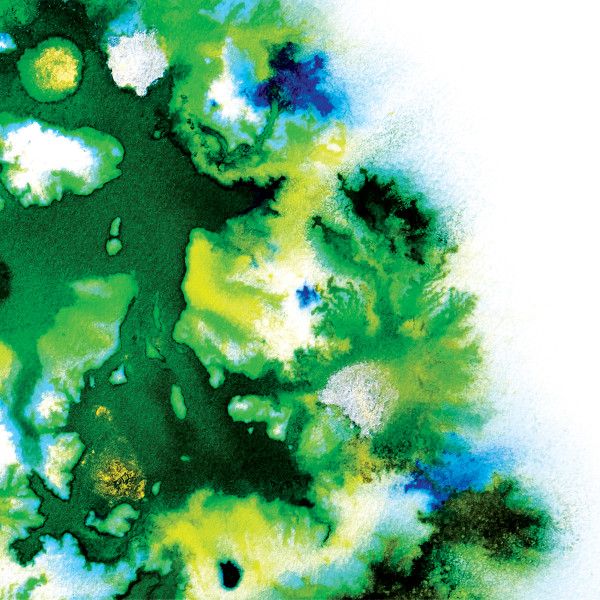 Various - Verdant | Verdant Recordings (VR-006)