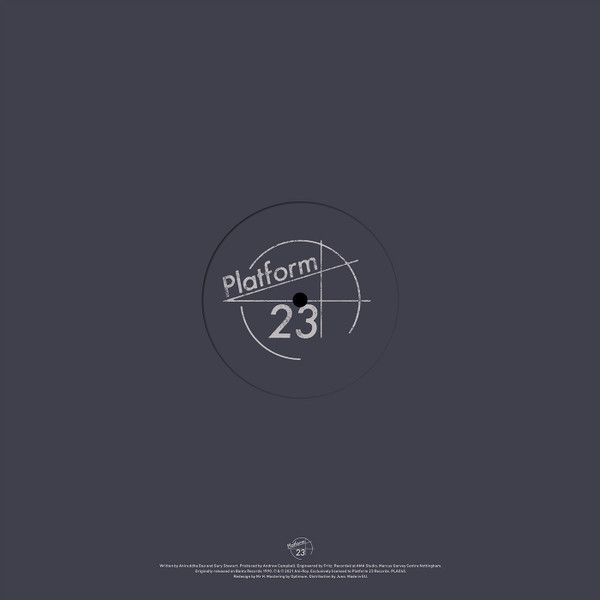 Ani-Roy - Fari 116 | Platform 23 Records (PLA040) - 2