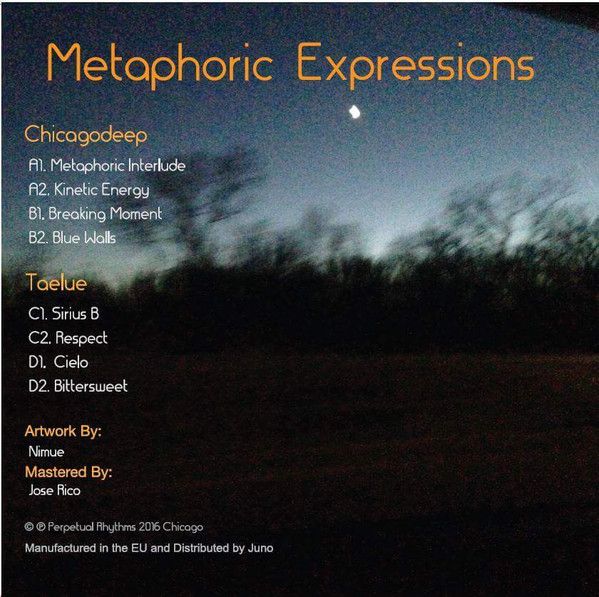 Chicagodeep & Taelue - Metaphoric Expressions | Perpetual Rhythms (PERP 007) - 2 Chicagodeep & Taelue - Metaphoric Expressions | Perpetual Rhythms (PERP 007) - 2