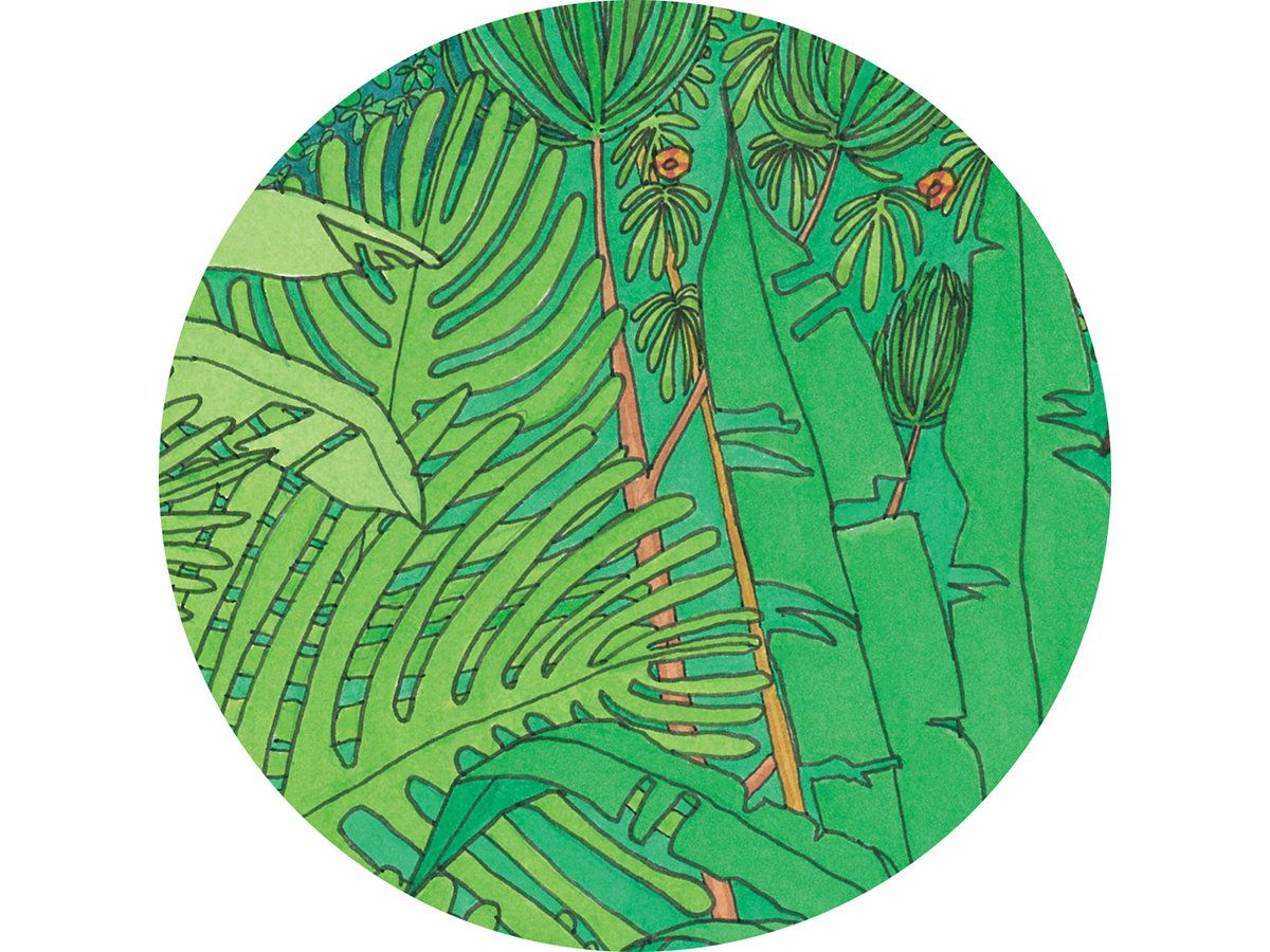Billy Ray de la Haye - Forest Fruit E.P. | Tabernacle Records (TABR037) - 2 Billy Ray de la Haye - Forest Fruit E.P. | Tabernacle Records (TABR037) - 2