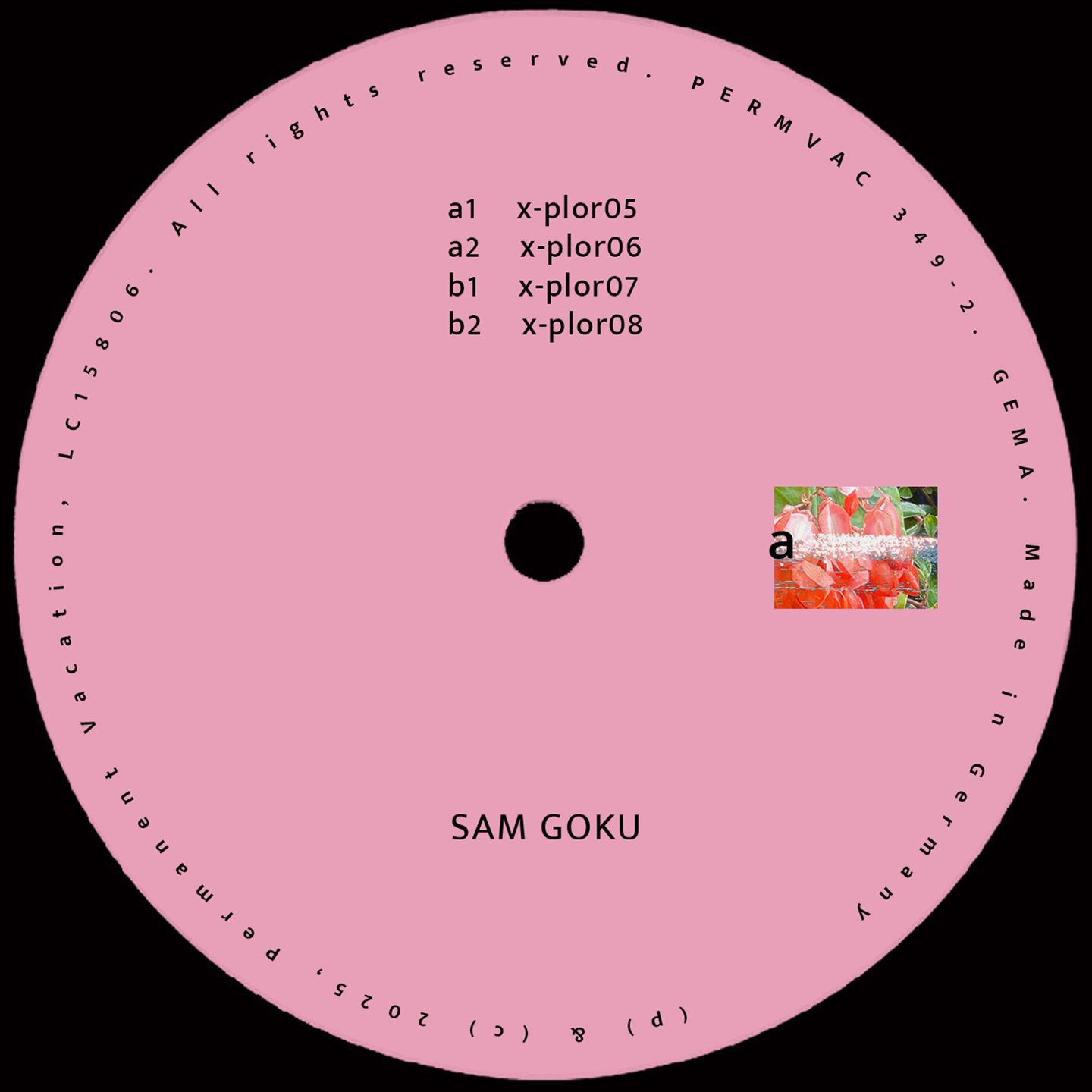 Sam Goku - Explorations 02 | Permanent Vacation (permvac349-2) - main