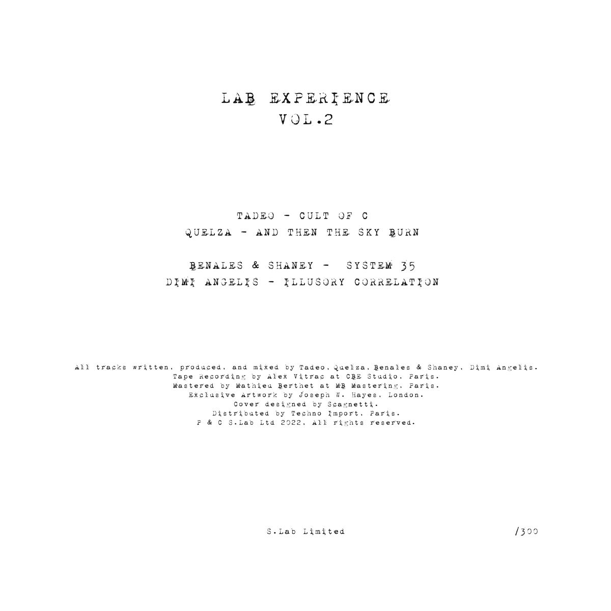 Various - Lab Experience Vol. 2 (White Limited Edition) | S.Lab Ltd (SLAB004) - 2
