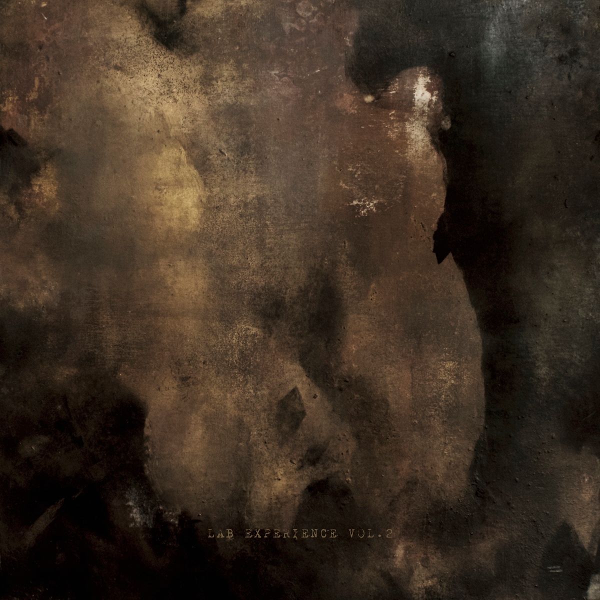 Various - Lab Experience Vol. 2 (White Limited Edition) | S.Lab Ltd (SLAB004) Various - Lab Experience Vol. 2 (White Limited Edition) | S.Lab Ltd (SLAB004)