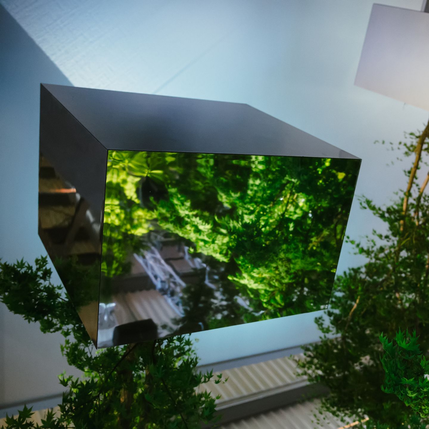 VTSS - Borderline Tenderness (Repress) | VEYL (VEYL022) - main