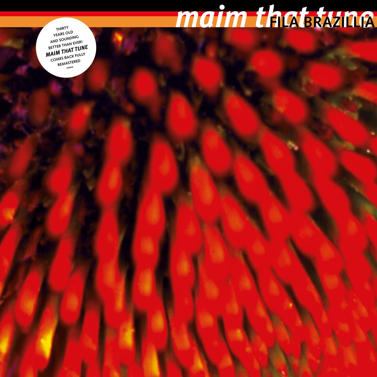 Fila Brazillia - Maim That Tune (2LP, 30th Anniversary) | Growing Bin Records (GBR046)