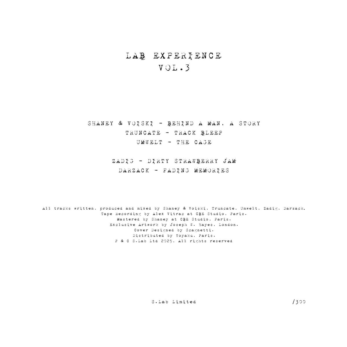 Various - Lab Experience Vol. 3 (Swirl Limited Edition) | S.Lab Ltd (SLAB013) - 2 Various - Lab Experience Vol. 3 (Swirl Limited Edition) | S.Lab Ltd (SLAB013) - 2