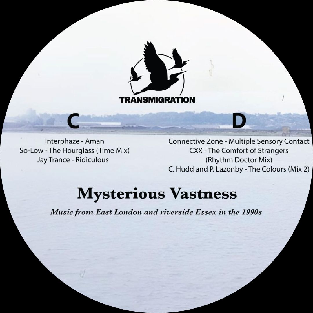 Jane Fitz  &  David Fogarty - Misteryous Vastness | Transmigration (TM029) | Transmigration (TM029) - 4