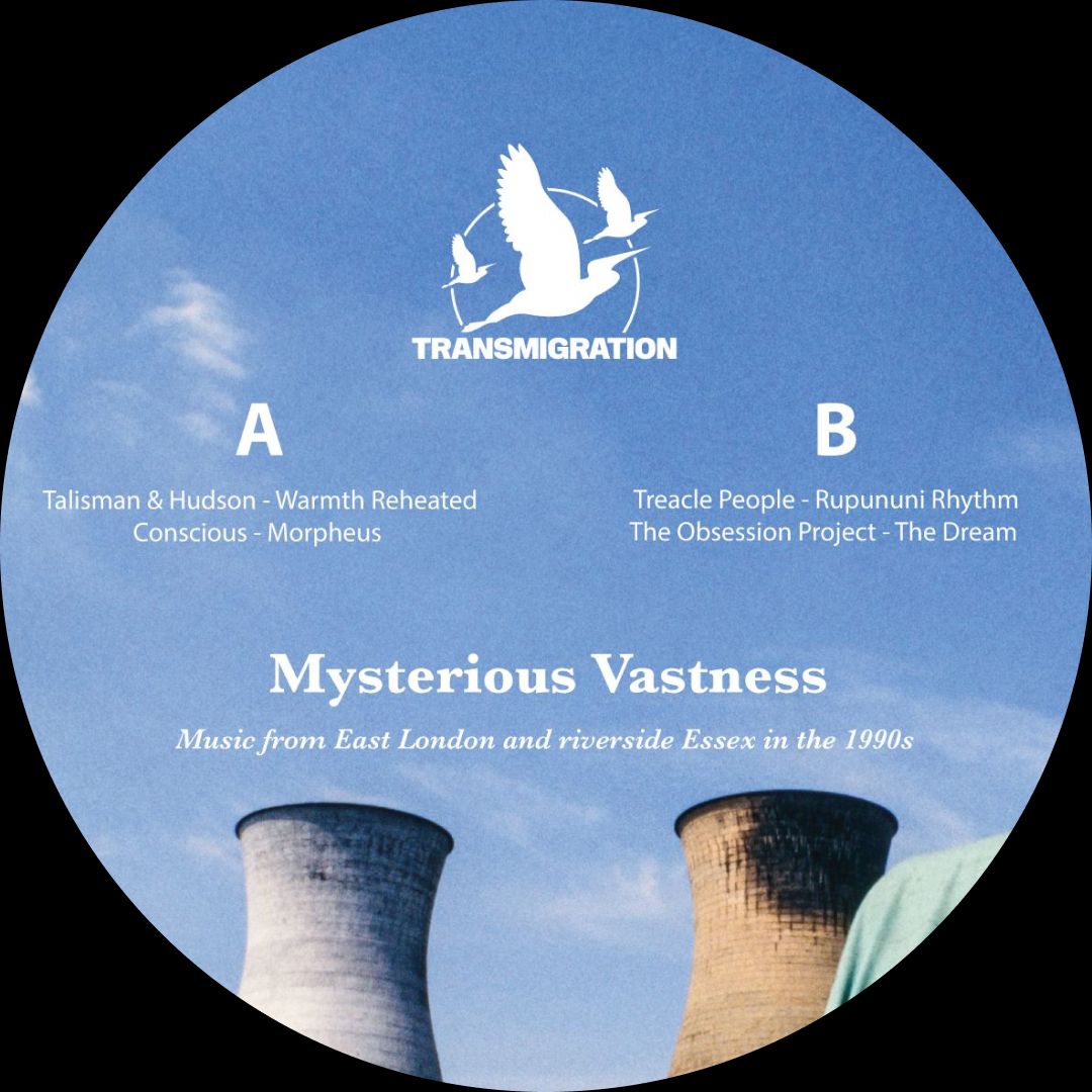 Jane Fitz  &  David Fogarty - Misteryous Vastness | Transmigration (TM029) | Transmigration (TM029) - 3