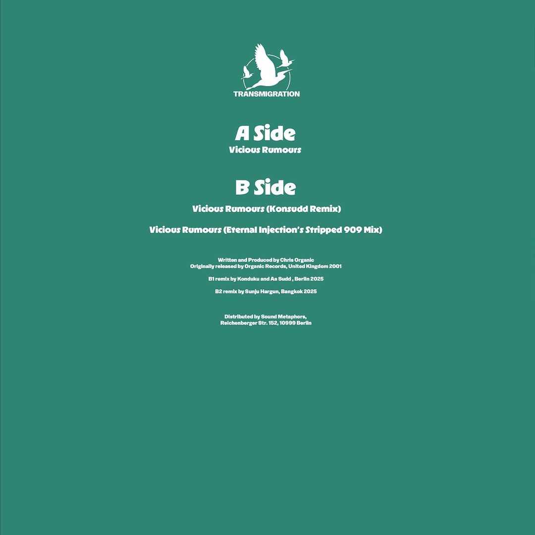 System Beat - Vicious Rumours | Transmigration (TM027) - 2 System Beat - Vicious Rumours | Transmigration (TM027) - 2