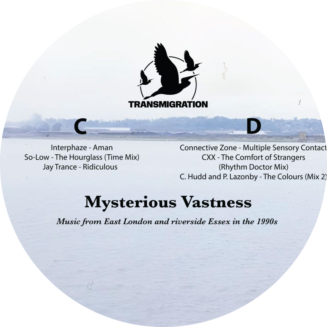 Jane Fitz  &  David Fogarty - Mysterious Vastness | Transmigration (TM029) - 5