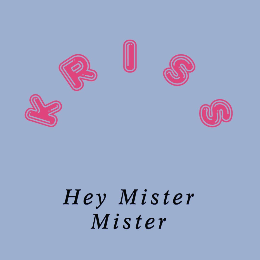 Kriss - Hey Mister Mister | THANK YOU (THANKYOU042) - main