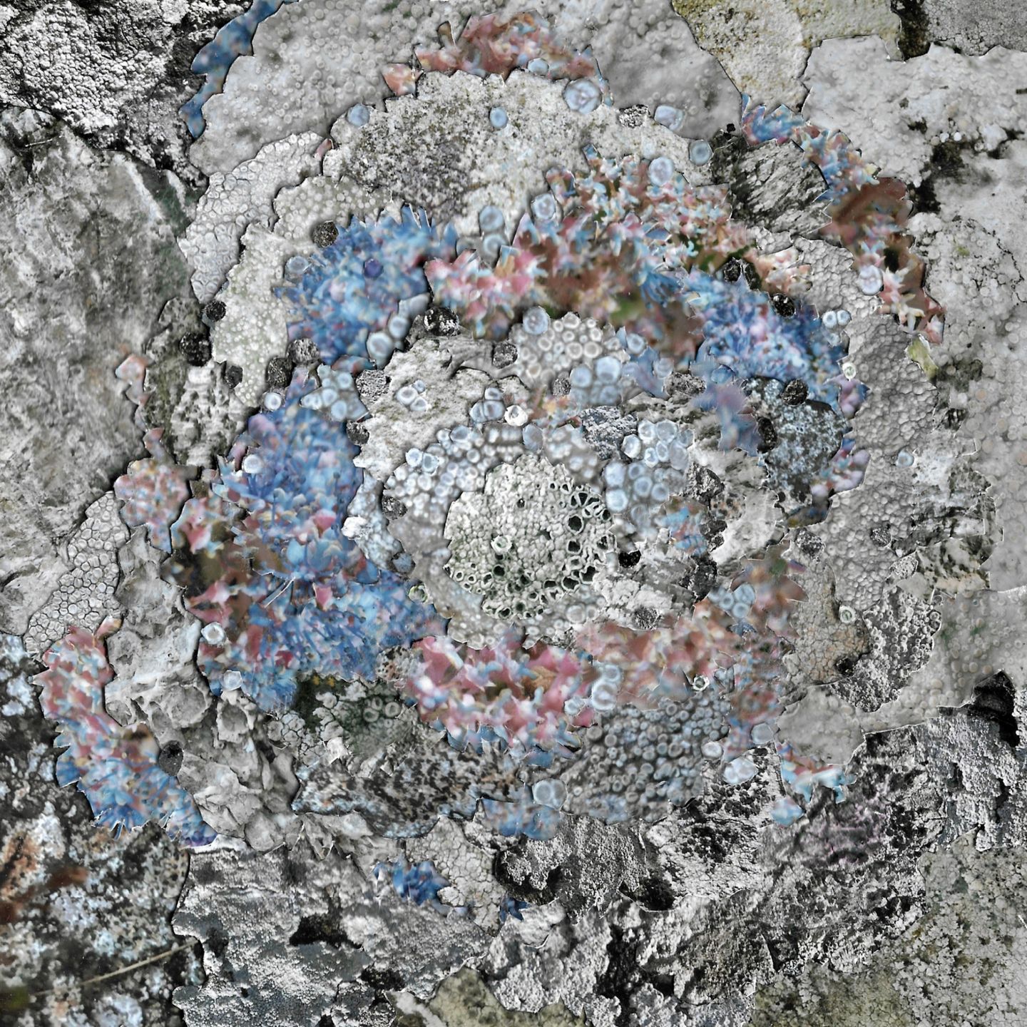 Kinzua - The Current Thing | CINTH (CINTH001)