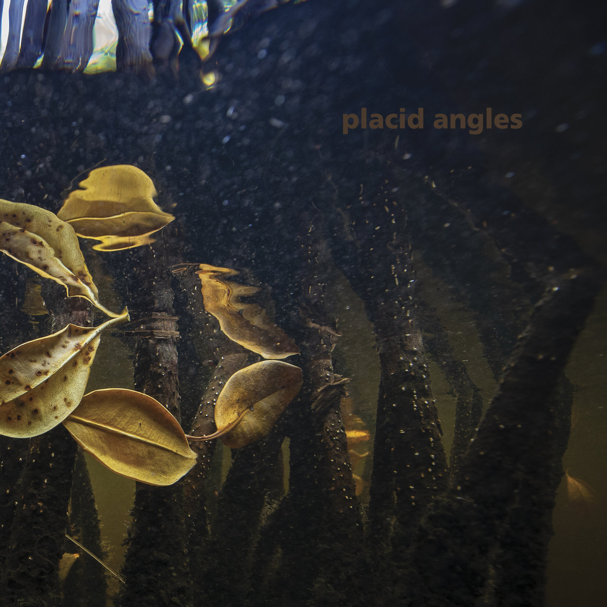 Placid Angles - Placid Angles - Touch The Earth | () - main Placid Angles - Placid Angles - Touch The Earth | () - main