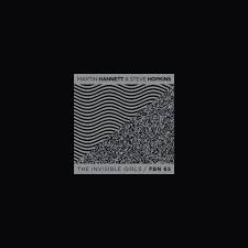 Martin Hannett & Steve Hopkins - Martin Hannett & Steve Hopkins - The Invisible Girls |  () - main