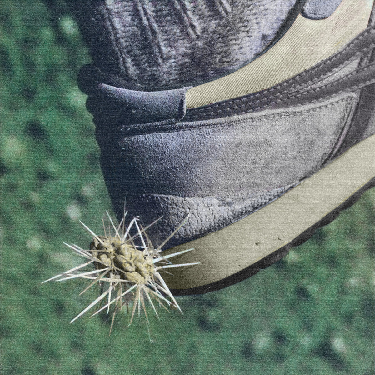 Ross From Friends - Ross From Friends - Tread | () - main Ross From Friends - Ross From Friends - Tread | () - main