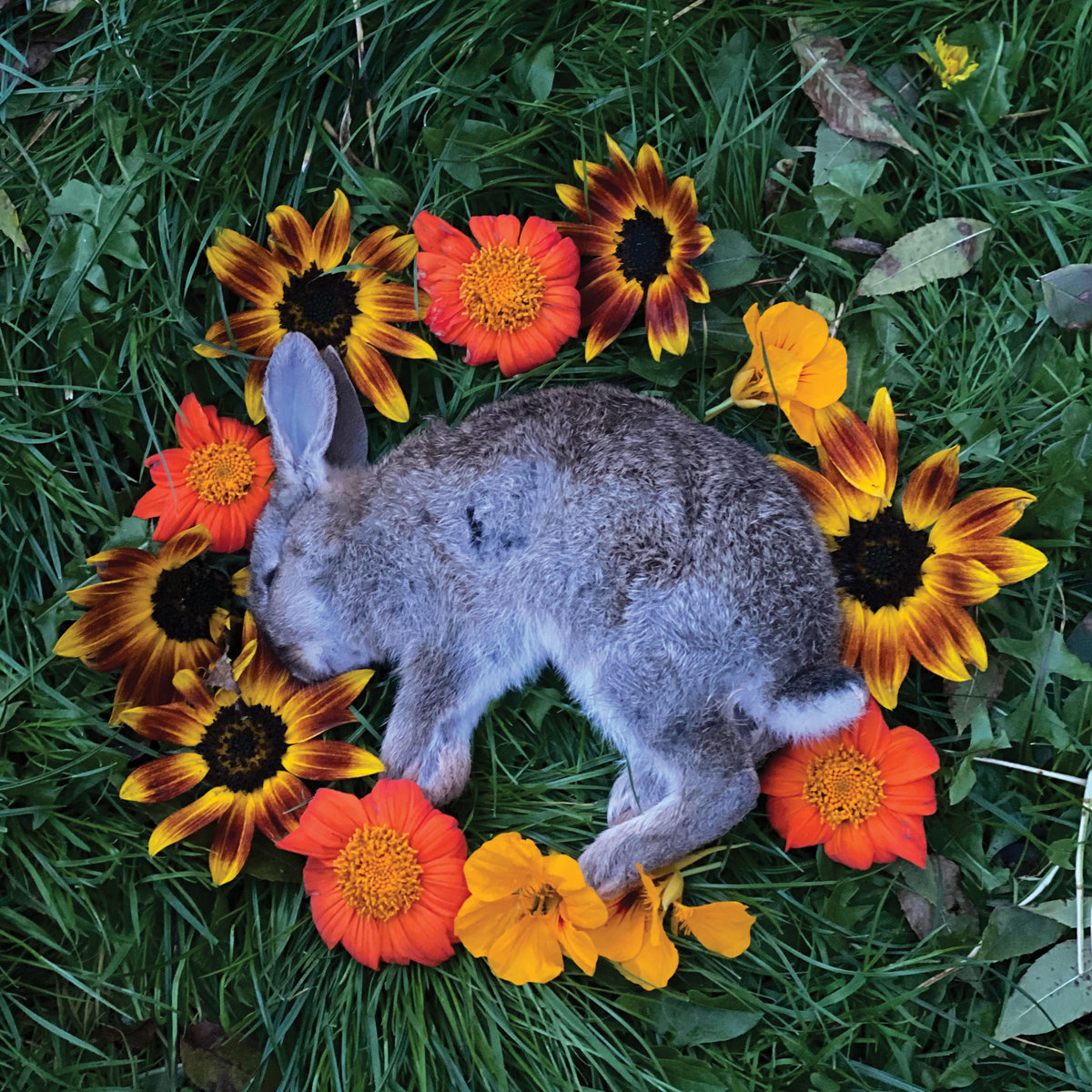 Monolord - Monolord - Your Time To Shine | () - main Monolord - Monolord - Your Time To Shine | () - main