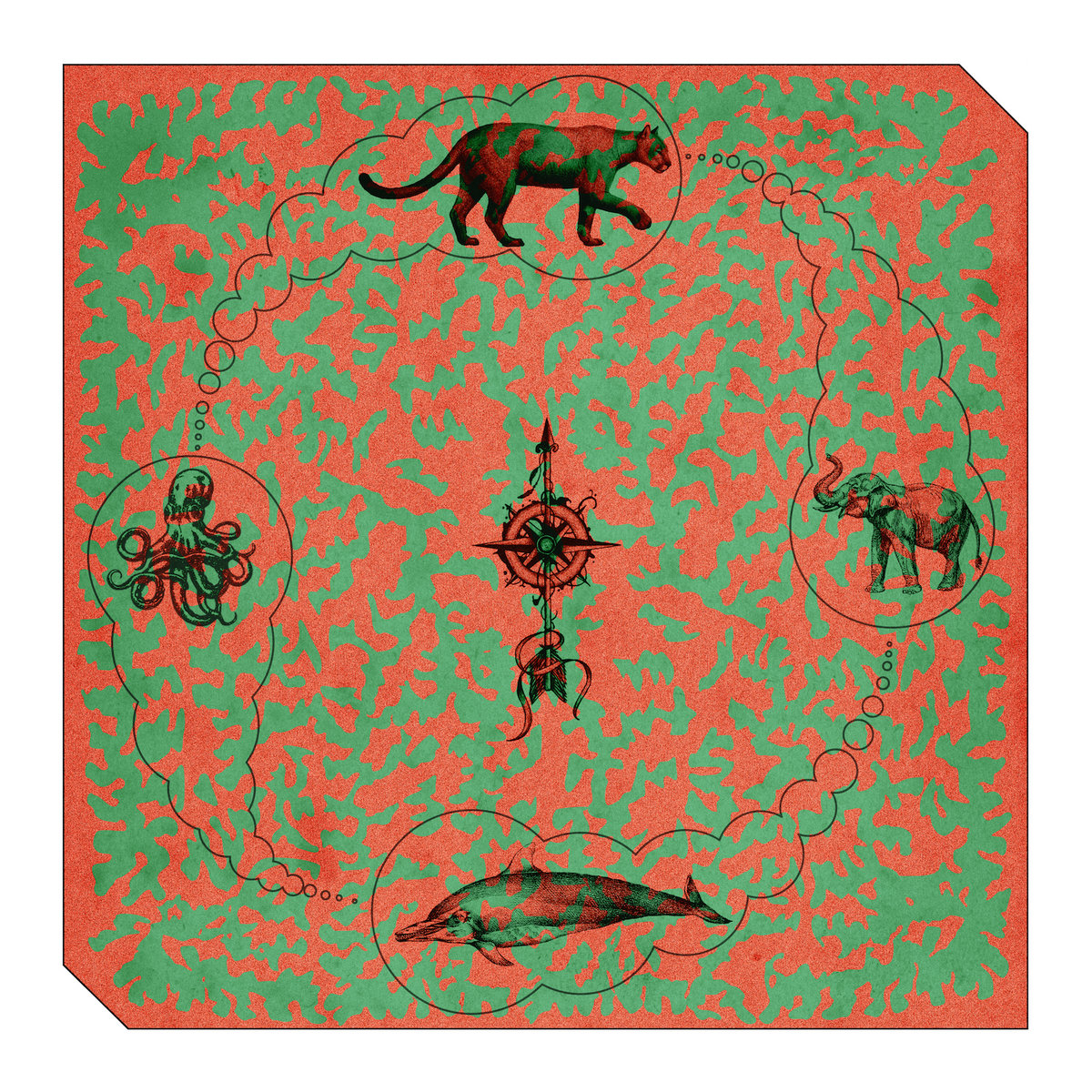 Puma & The Dolphin - Puma & The Dolphin - Indoor Routine | () - main Puma & The Dolphin - Puma & The Dolphin - Indoor Routine | () - main