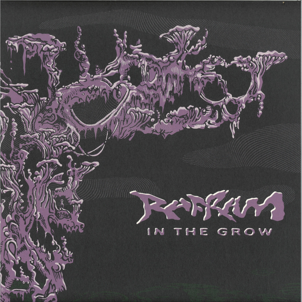 RafRam - RafRam - In The Grow | () - main RafRam - RafRam - In The Grow | () - main