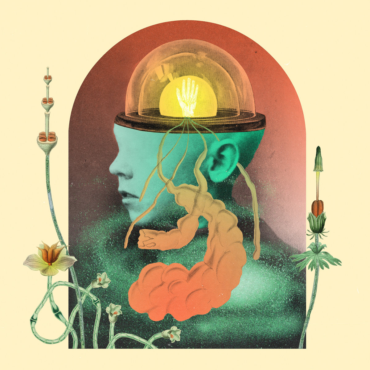 Salami Rose Joe Louis - Salami Rose Joe Louis - Akousmatikous | () - main Salami Rose Joe Louis - Salami Rose Joe Louis - Akousmatikous | () - main