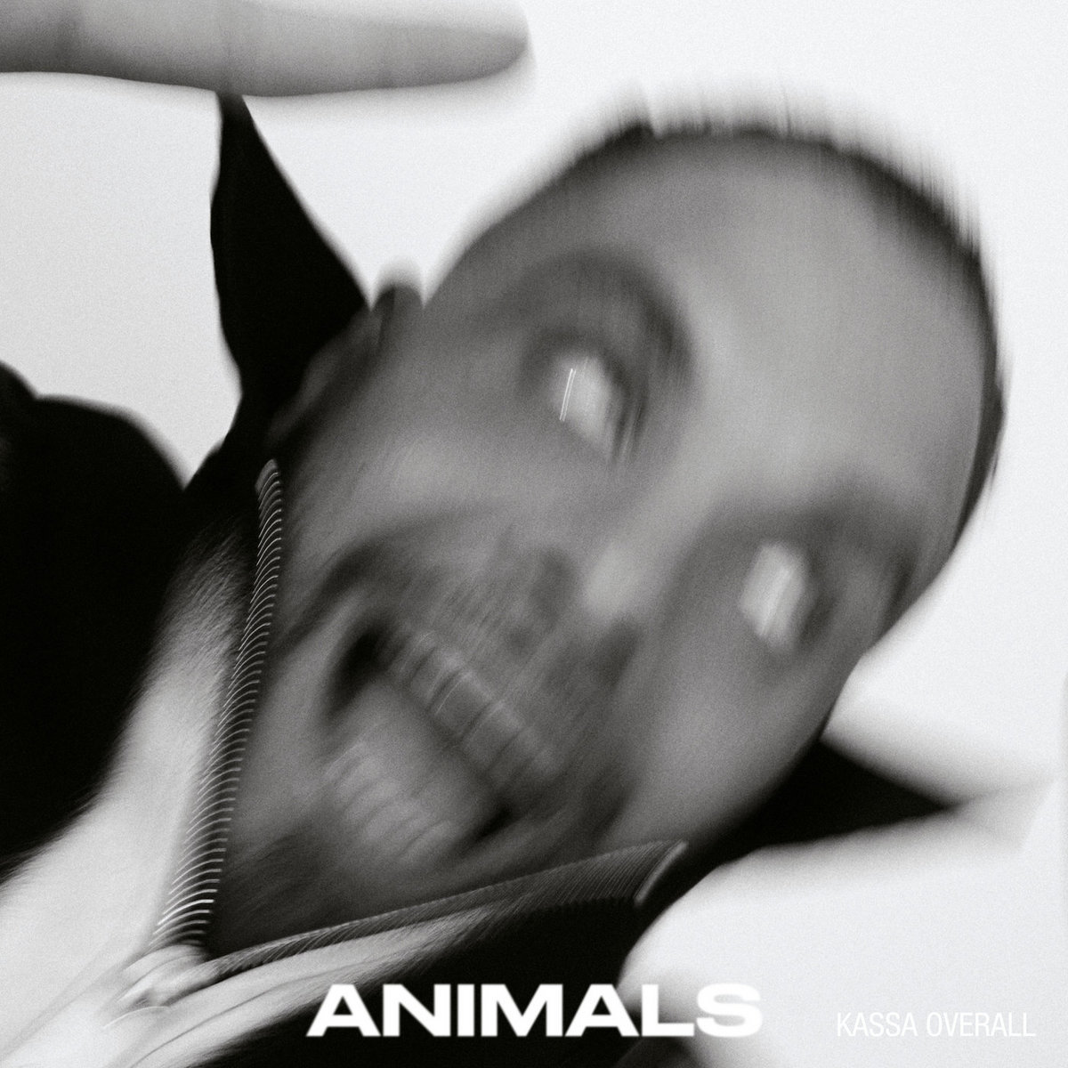 Kassa Overall - Kassa Overall - Animals |  () - main