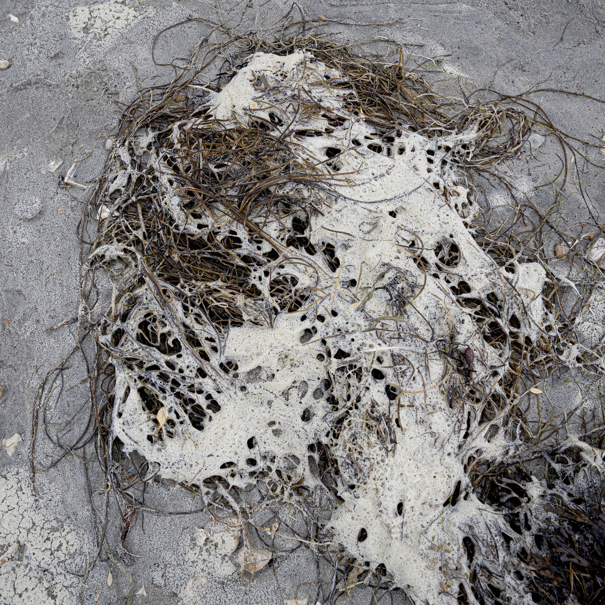 CS + Kreme – Orange (The Trilogy Tapes) - CS + Kreme – Orange (The Trilogy Tapes) | () - main CS + Kreme – Orange (The Trilogy Tapes) - CS + Kreme – Orange (The Trilogy Tapes) | () - main