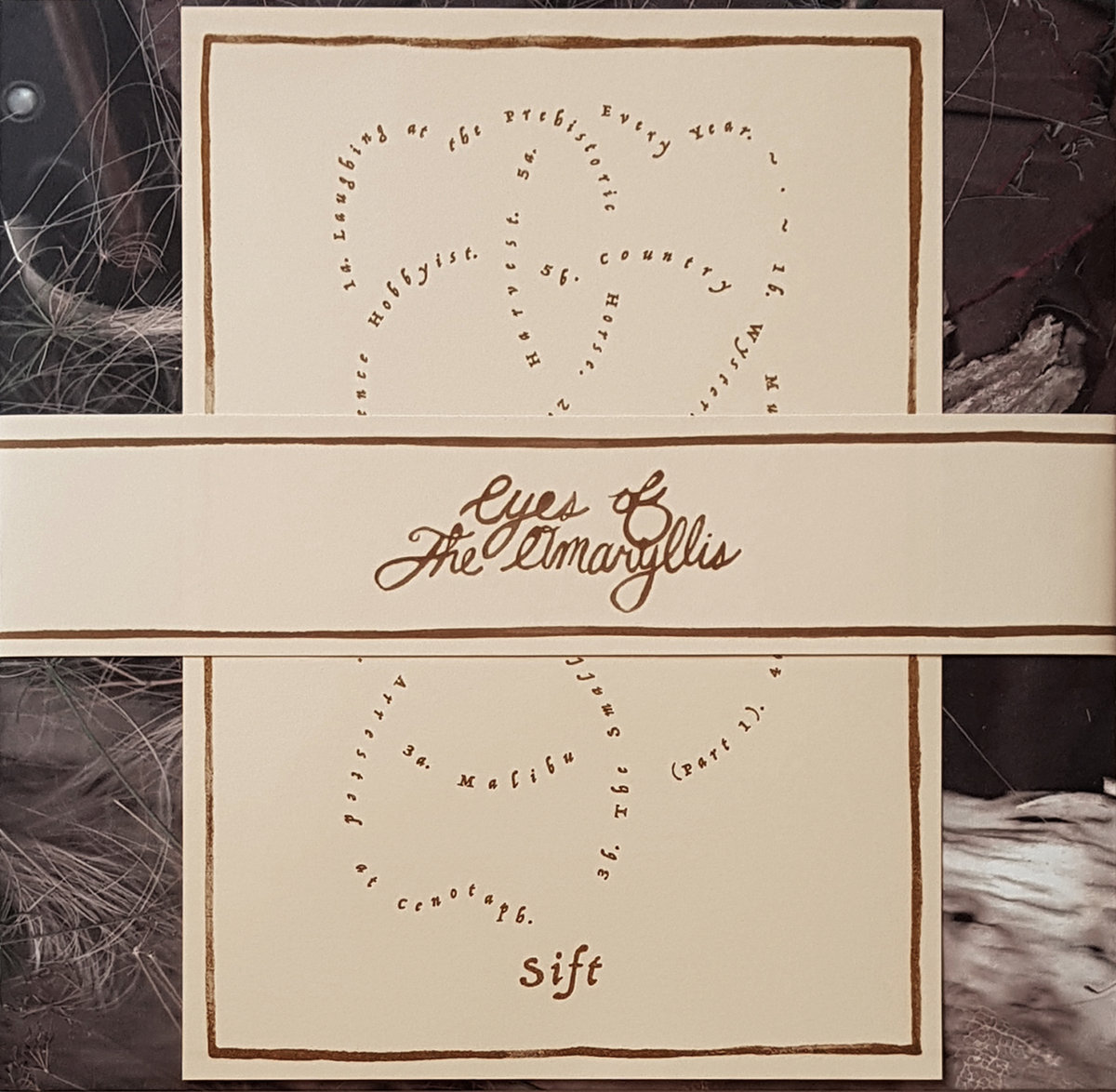 Eyes of the Amaryllis - Eyes of the Amaryllis - Sift | () - main Eyes of the Amaryllis - Eyes of the Amaryllis - Sift | () - main