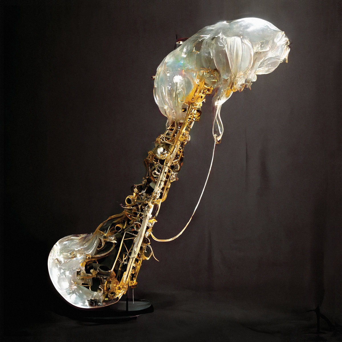 Sam Gendel - Sam Gendel - Cookup | () - main Sam Gendel - Sam Gendel - Cookup | () - main