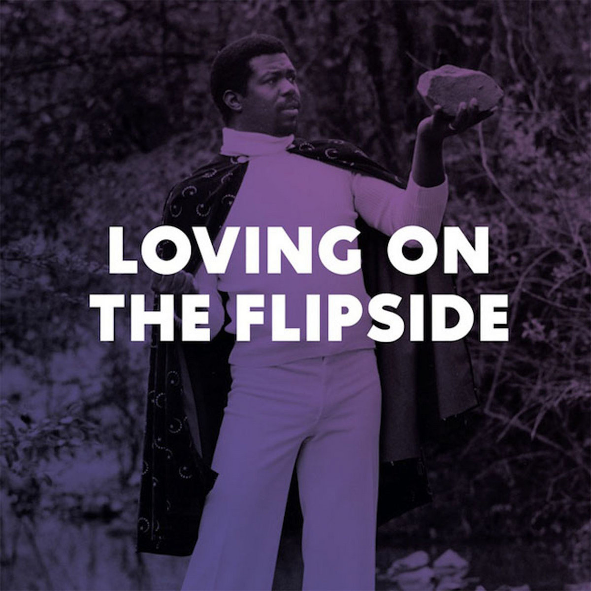 V/A - V/A - Loving on the Flip Side (Sweet Funk And Beat-Heavy Ballads 1969-1977) |  () - main