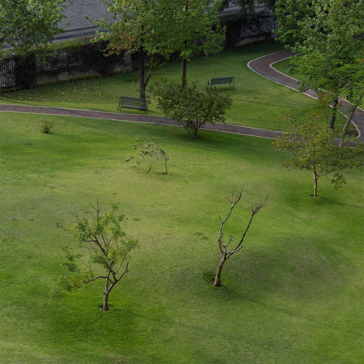 Mabe Fratti - Mabe Fratti - Pies Sombre la Tierra | () - main Mabe Fratti - Mabe Fratti - Pies Sombre la Tierra | () - main