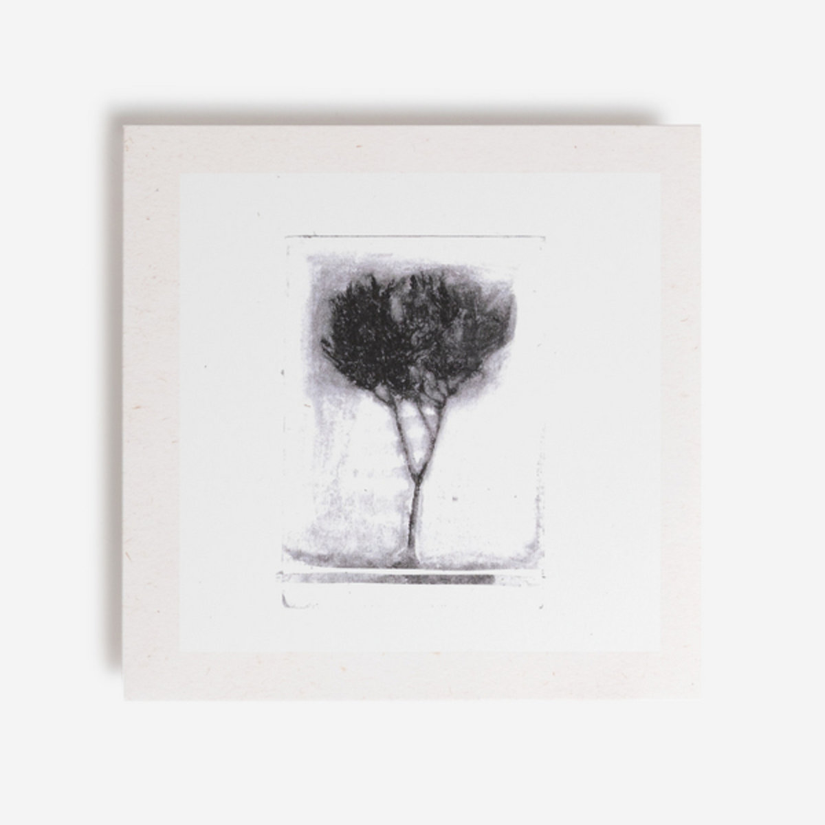 Optiki Mouski - Optiki Mouski - Tomos 2 |  () - main