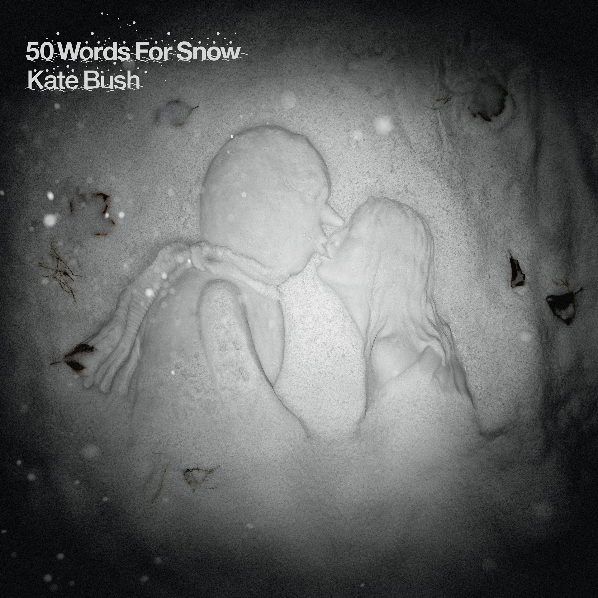 Kate Bush - Kate Bush - 50 Words For Snow | () - main Kate Bush - Kate Bush - 50 Words For Snow | () - main