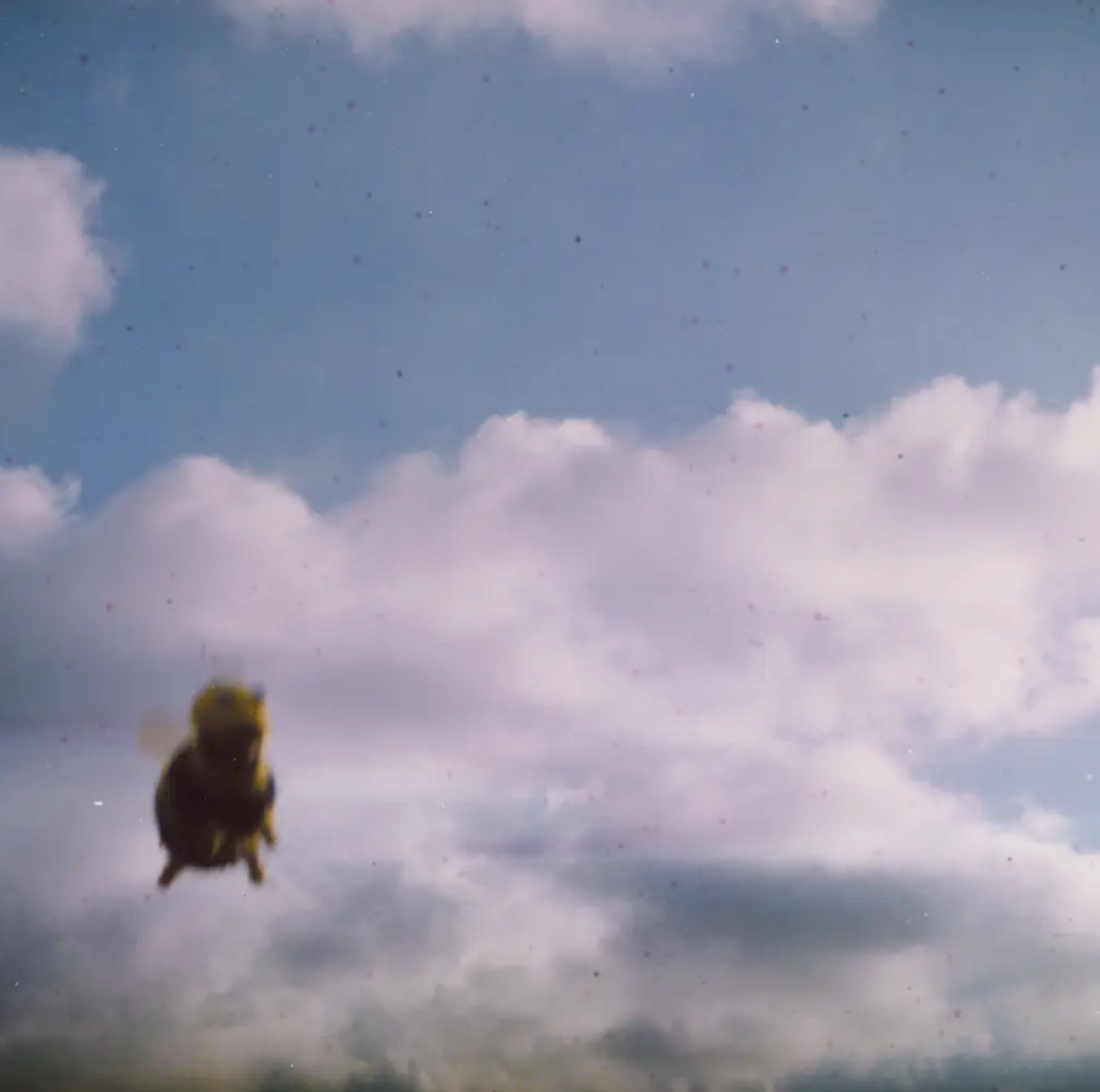 Pond - Pond - Stung! |  () - main