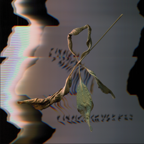 T. Gowdy - Trill Scan | Constellation (cst181)