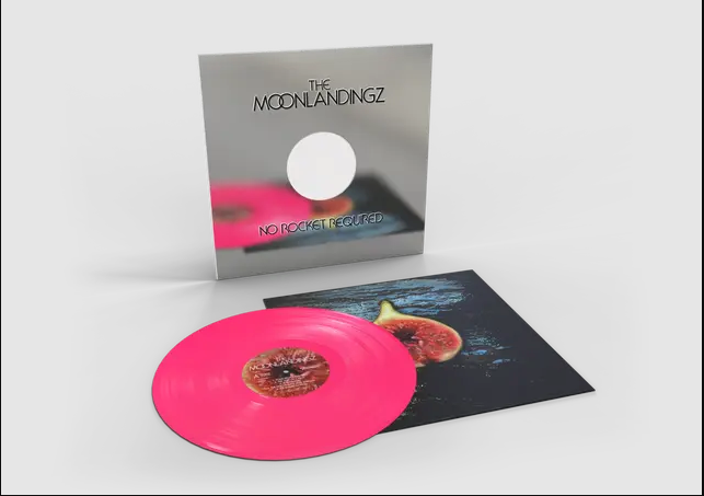 The Moonlandingz - No Rocket Required | Transgressive Records (TRANS845X)